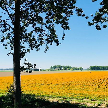 Bed and Breakfast Slapen Bij De Zeeuwse Lala IJzendijke Екстер'єр фото